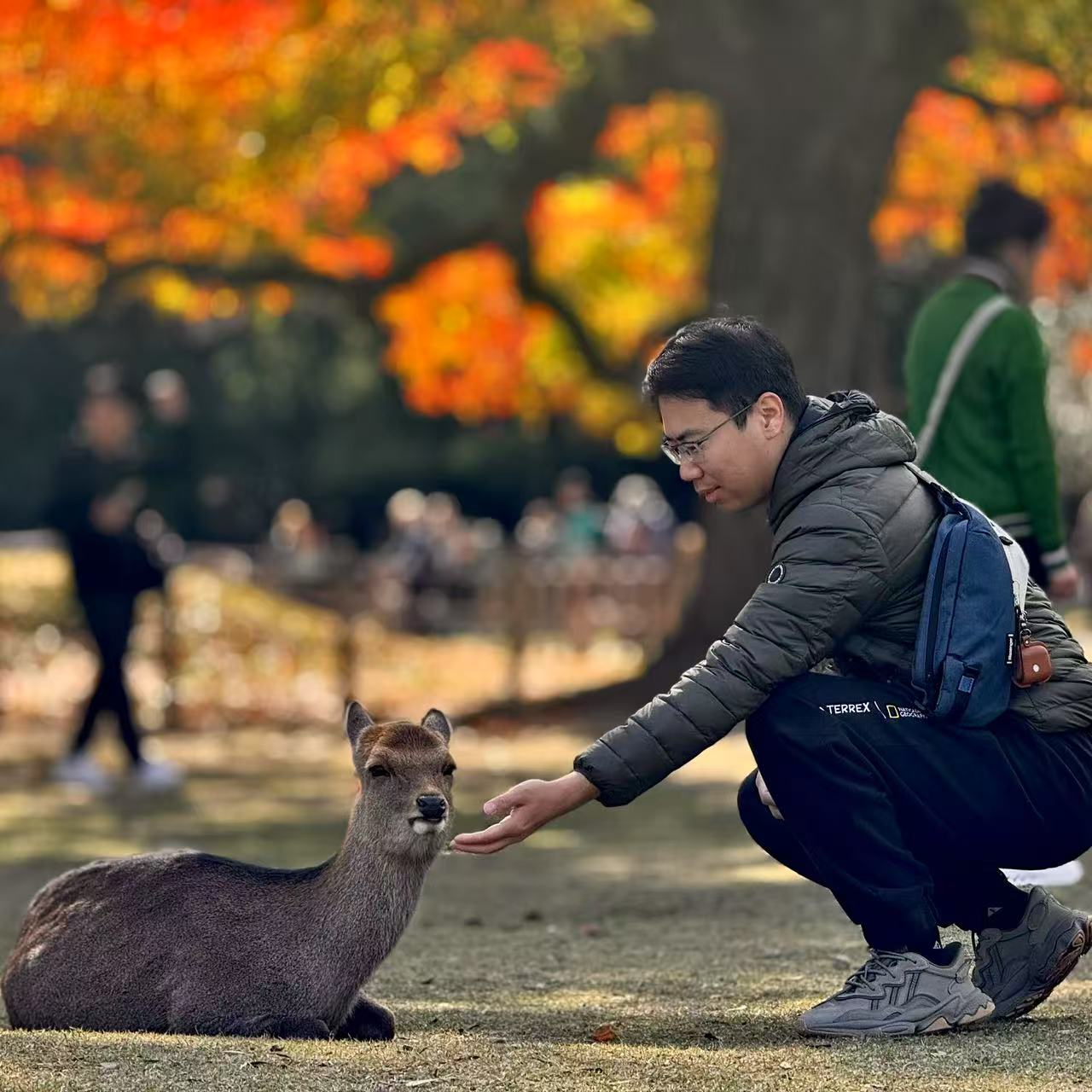 Feed A Deer